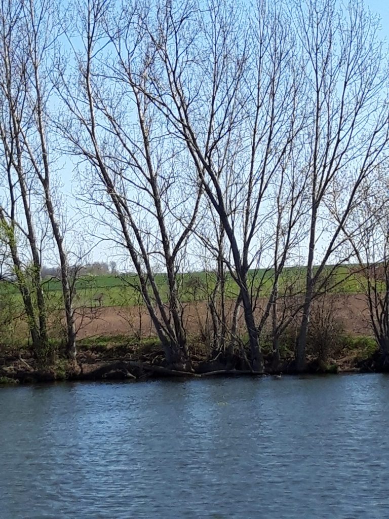 WhatsApp Image 2023-12-01 at 20.33.24 (10)