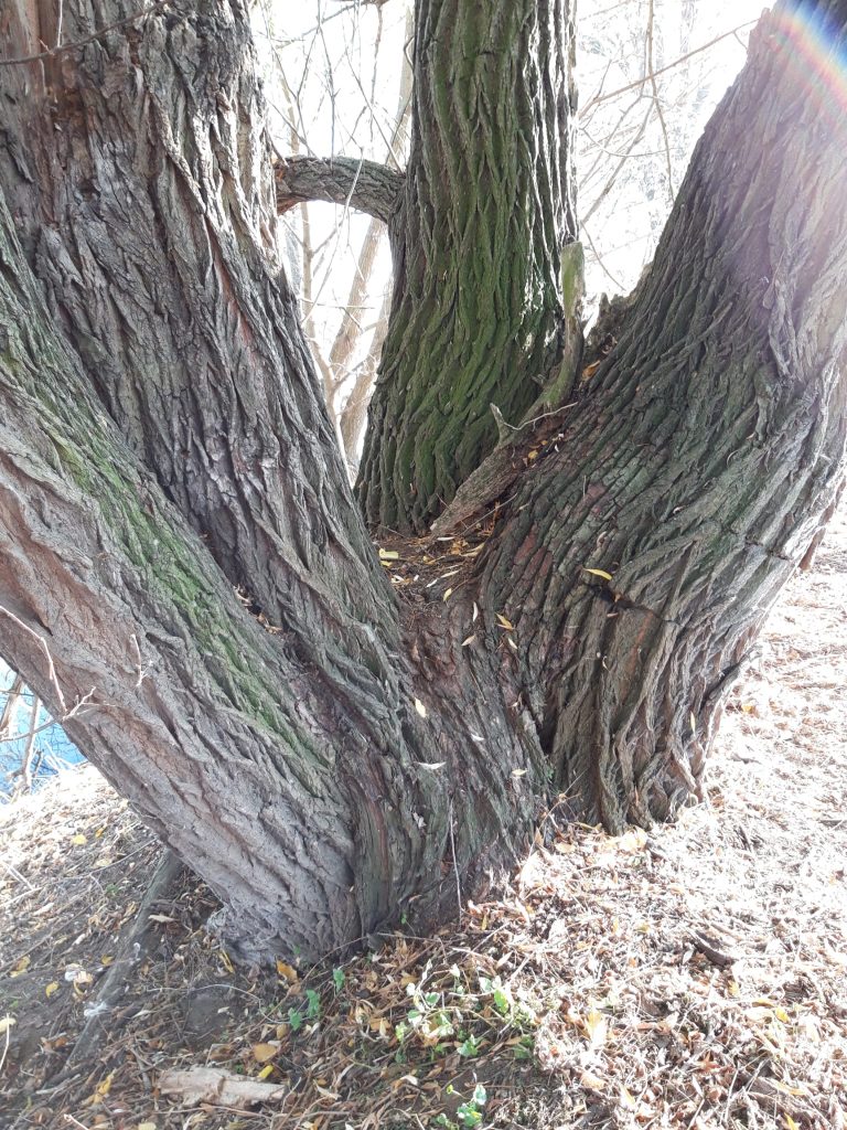 WhatsApp Image 2023-12-01 at 20.33.24 (12)