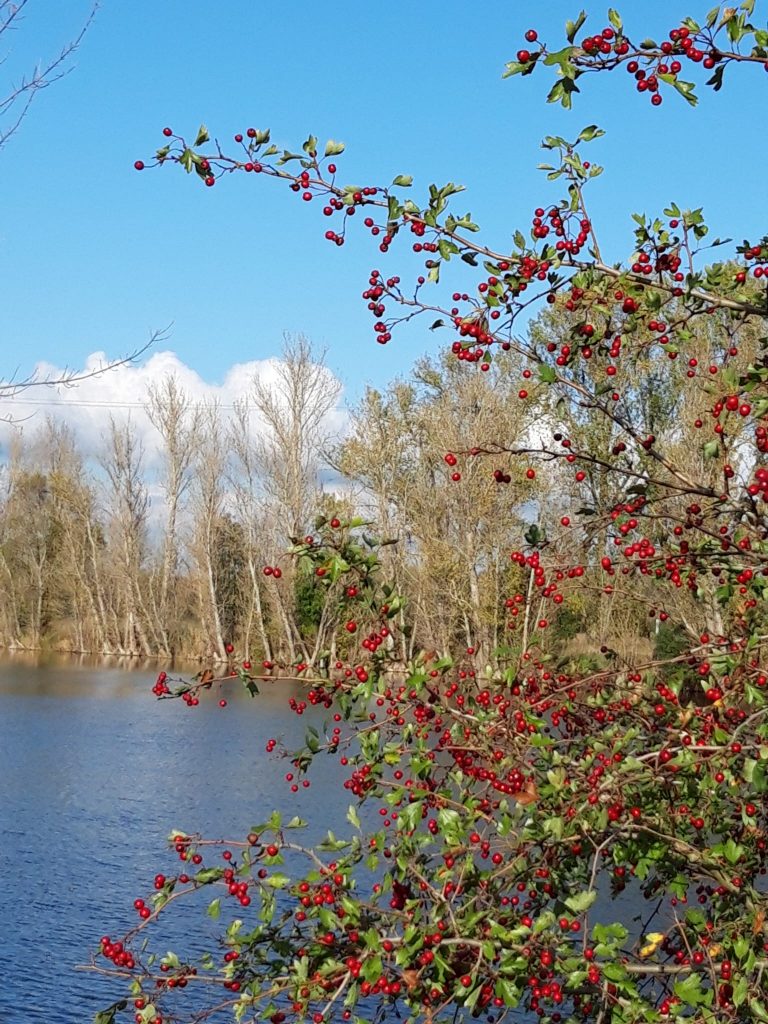 WhatsApp Image 2023-12-01 at 20.33.24 (13)