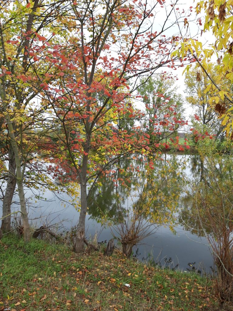 WhatsApp Image 2023-12-01 at 20.33.24 (14)