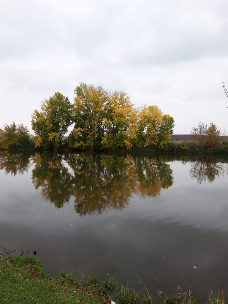 WhatsApp Image 2023-12-01 at 20.33.24 (15)